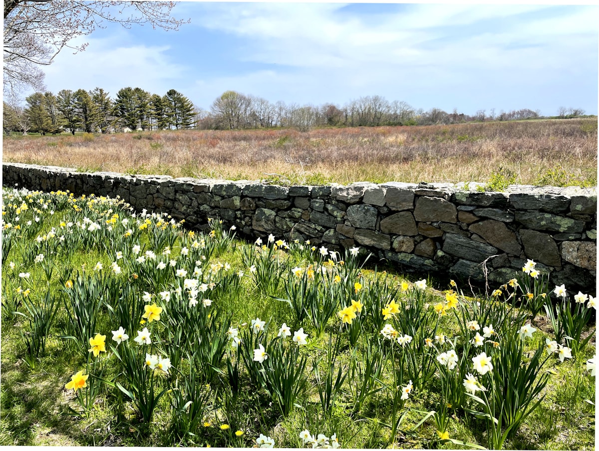 Windham County
